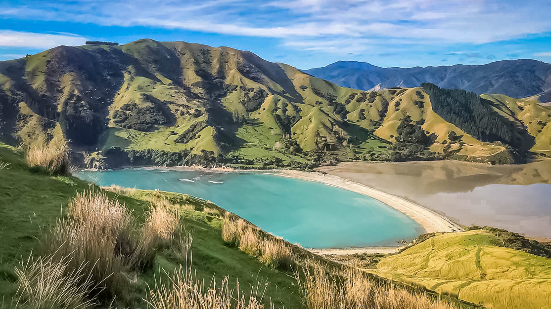 Hills and Sheep and Views, Oh My! New Zealand's Cable Bay Has It All